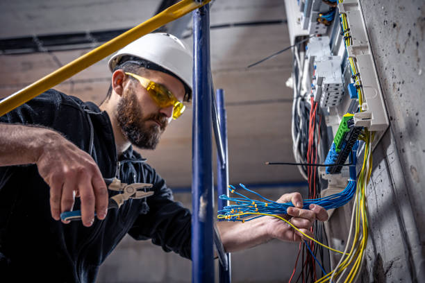 Best Electric Panel Repair  in Dodson Branch, TN